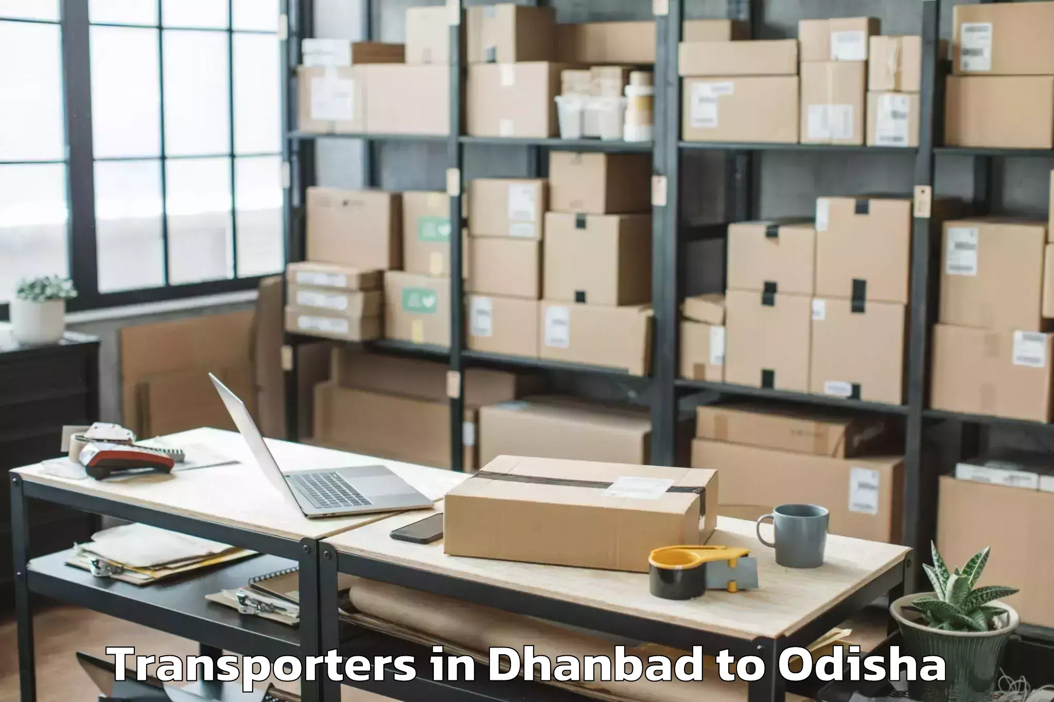 Top Dhanbad to Karanjia Transporters Available